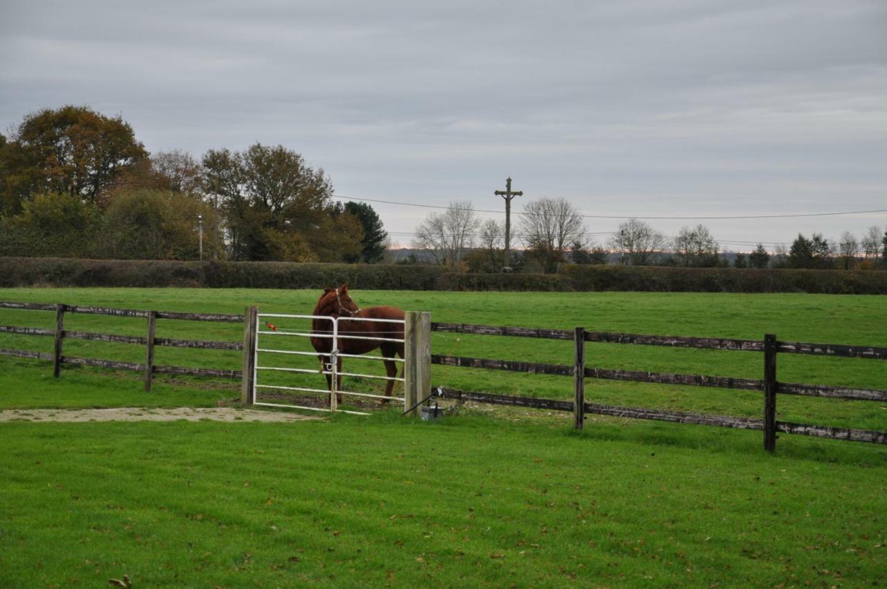 B&B Haras De La Cour Fleury Saint-Michel-de-Livet Eksteriør bilde