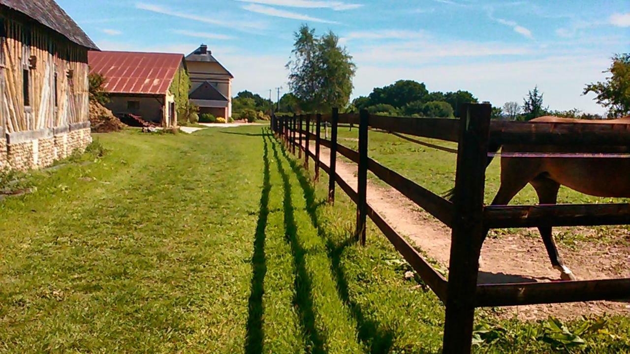 B&B Haras De La Cour Fleury Saint-Michel-de-Livet Eksteriør bilde